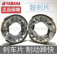 Yamaha Xunying Shangling Qiaoge Fuxi Liying Liying Má phanh Má phanh phanh xe máy