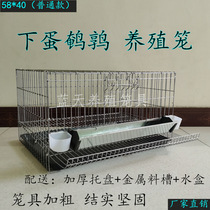 Household quail cage large thick double cage egg quail cage breeding cage automatic roll to pick up easy