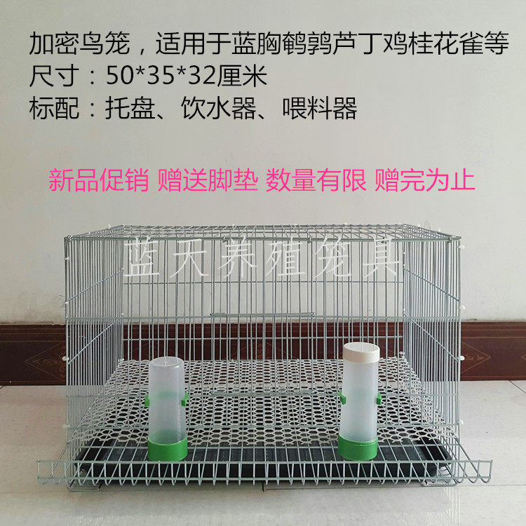 Household quail cage Blue-breasted quail reed chicken Osmanthus bird special encryption automatic egg cage breeding cage