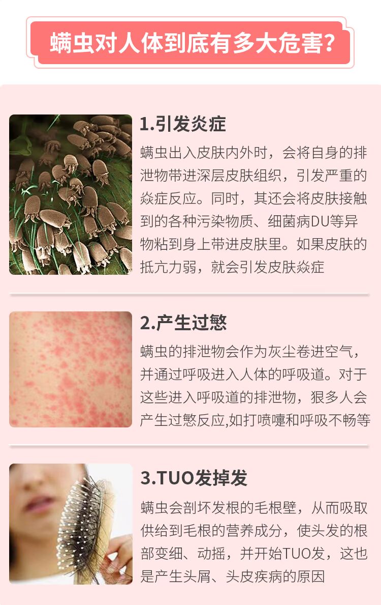 Nhật Bản Maru Rong Locust Sticker Bộ đồ giường Sofa Sucker Sticker Trang chủ Giết chết 3 miếng - Thuốc diệt côn trùng bình xịt diệt khuẩn