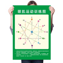 Vision training diagram Astigmatism correction nearsightedness farsightedness diagram Eye muscle exercise training increased view Eye exercise wall sticker