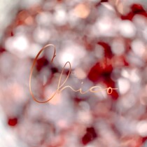 (Spot) Chico gilt gold brown sequins Japan imported sequin jewelry