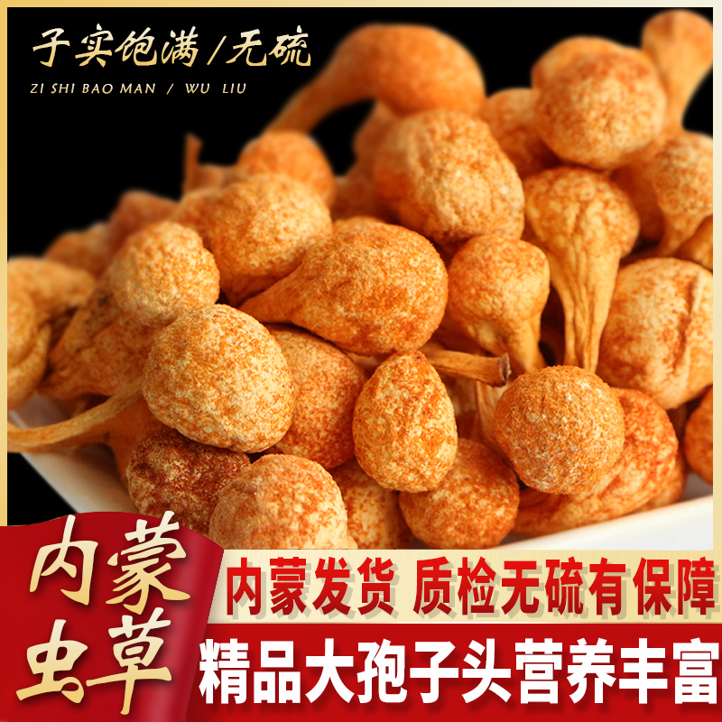 Cordyceps flower super wild spore head dry fresh Cordyceps mushroom Cordyceps militaris 250g soup material