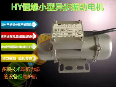 Vibration motor constant edge stainless steel vibration motor 220V30W new capacitor built-in waterproof vibrator