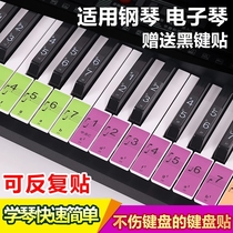  Piano Key Stickers 88 61 54 Keyboard Color Key Stickers Universal Keyboard Keyboard Protection Stickers