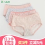 AB đồ lót truy cập chính hãng cotton kháng khuẩn eo giữa chấm nhỏ boxer đồ lót nữ ab nữ đồ lót 1044 - Nam giới quần sịp gợi cảm 