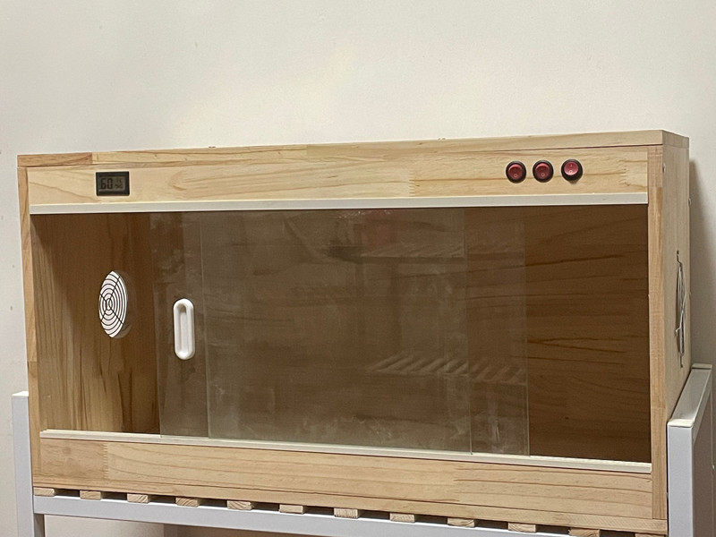 宠物入住的酒店如何选择？2026智能宠物友好酒店大盘点