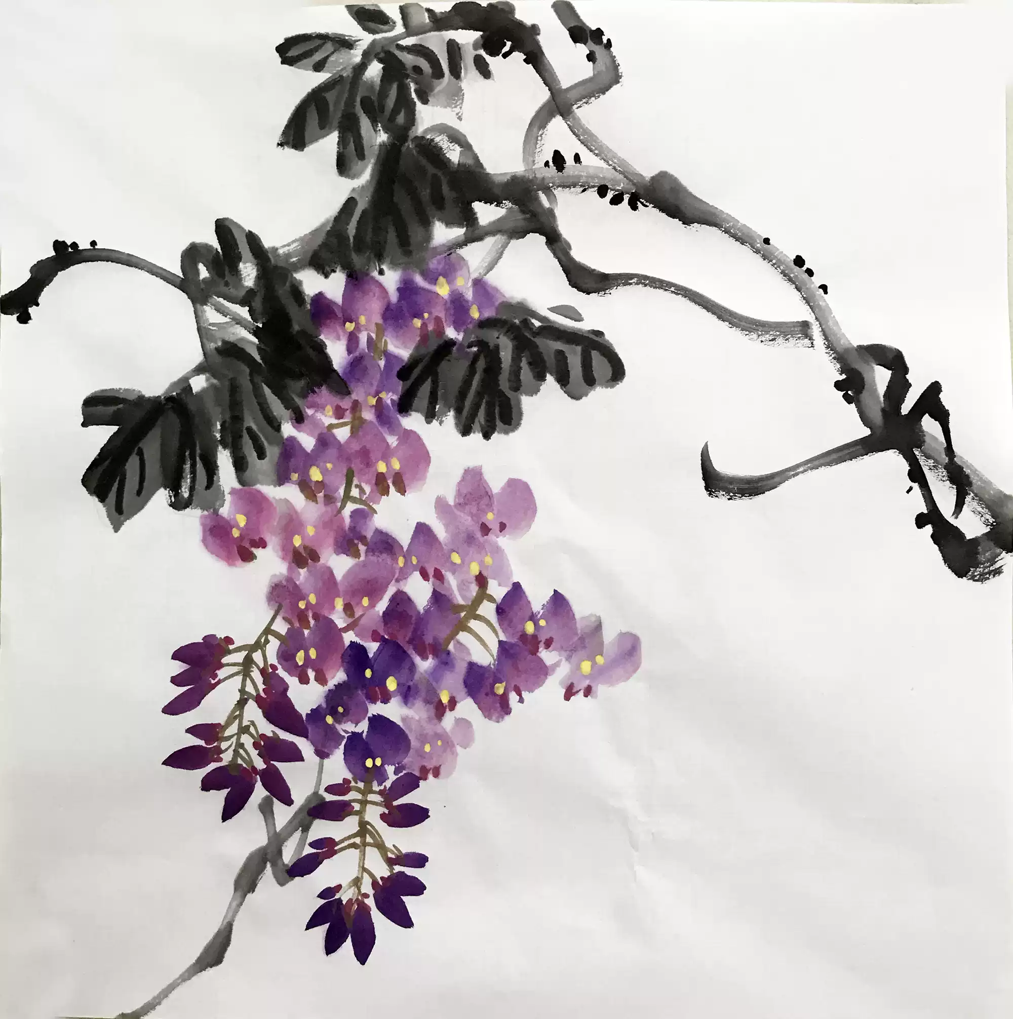 国画紫藤水墨画三尺斗方手绘作品玄关背景墙装饰画新中式风格国画无框