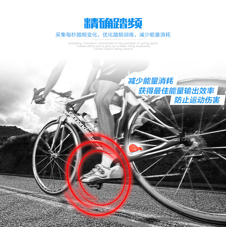 Tableau de bord vélo - Ref 2426201 Image 10