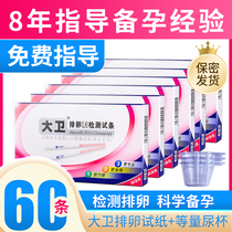 David ovulation test strip ovulation measurement high-precision test strip 60 female pregnancy preparation artifact ovulation semi-quantitative early pregnancy