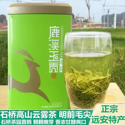 Alpine cloud stone bridge tea Green tea 2021 New tea Yuanan specialty Mingqian Maojian bud tea tea premium bulk