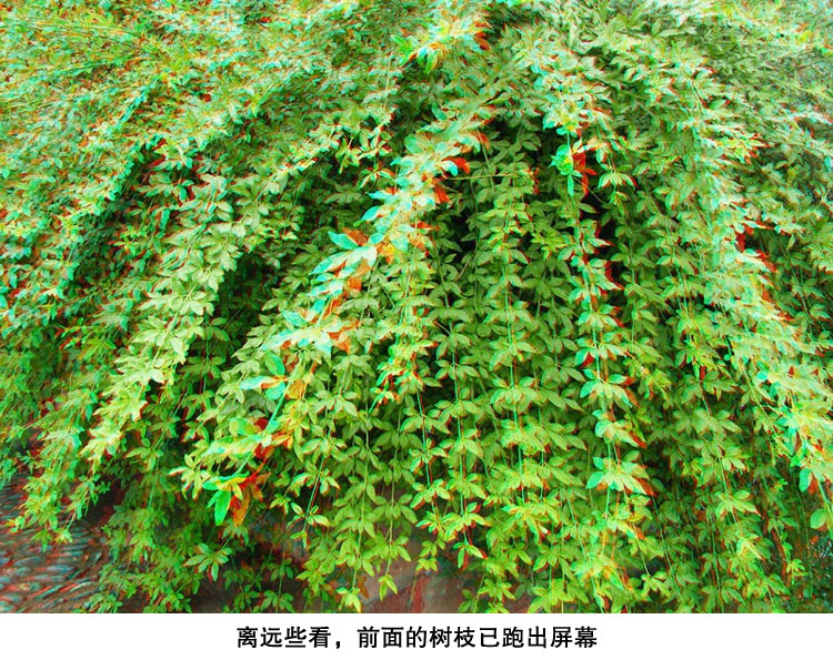 Lunettes 3D - Ref 1240751 Image 26