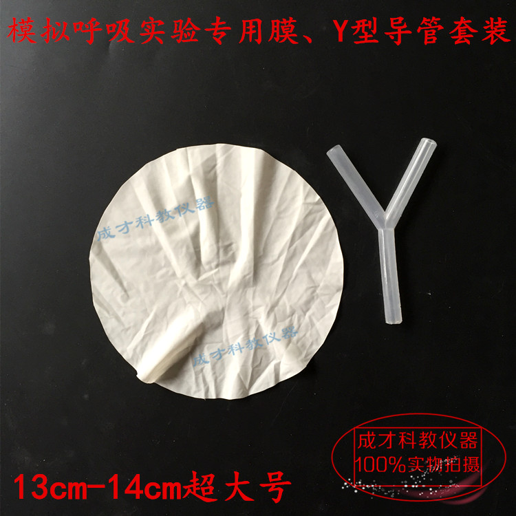 Rubber film rubber film latex film Y-shaped catheter simulated breathing experiment diaphragm muscle movement simulator teaching equipment