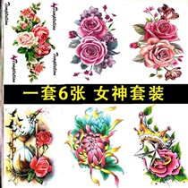 Anti-waterborne sensation covers belly tattooed with female emulation Little clear new flowers Peony Peony Tattoo Sticker Flower Arm