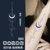 Minimalist lines Moon grass Ben juice tattooed with waterproof persistent non-reflective women Ins wind Summer Spurs