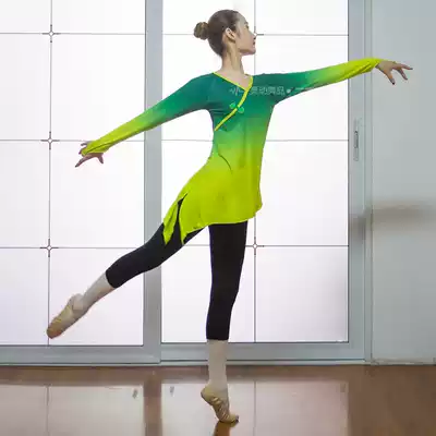 Classical dance body rhyme practice suit Female adult long-sleeved gradient color dance top horn sleeve ethnic performance suit Spandex