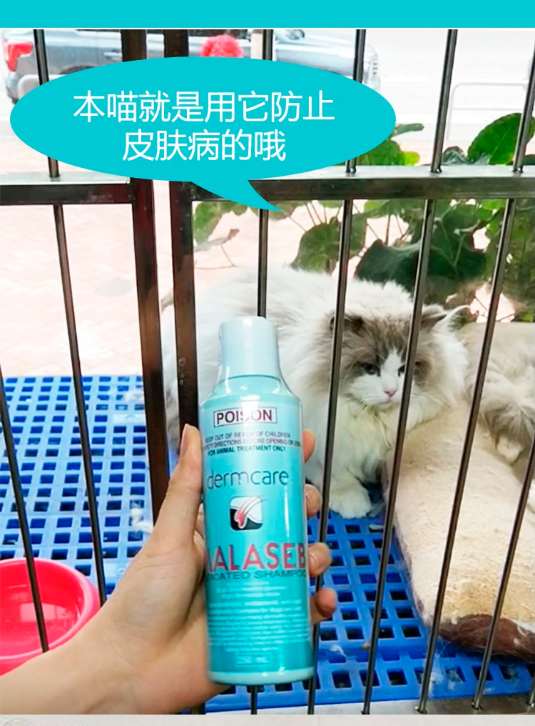 Úc da gram cay rửa mèo chó cưng da bệnh tắm sữa tắm sữa tắm - Cat / Dog Medical Supplies máy siêu âm thú y giá rẻ