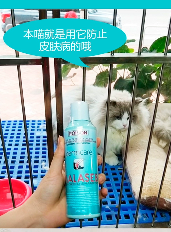 Úc da gram cay rửa mèo chó cưng da bệnh tắm sữa tắm sữa tắm - Cat / Dog Medical Supplies