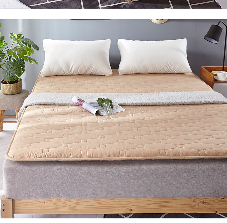 Nệm hai mặt flannel đệm dày nệm ấm sinh viên đơn mùa đông và mùa hè giường đôi giường đôi - Nệm đệm 1m
