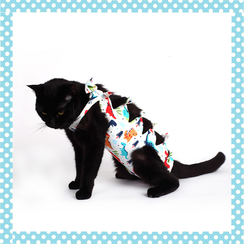 Cat sterilization clothing female cat surgical clothing spring and summer weaning thin anti-hair loss anti-licking blue cat anti-bite clothes