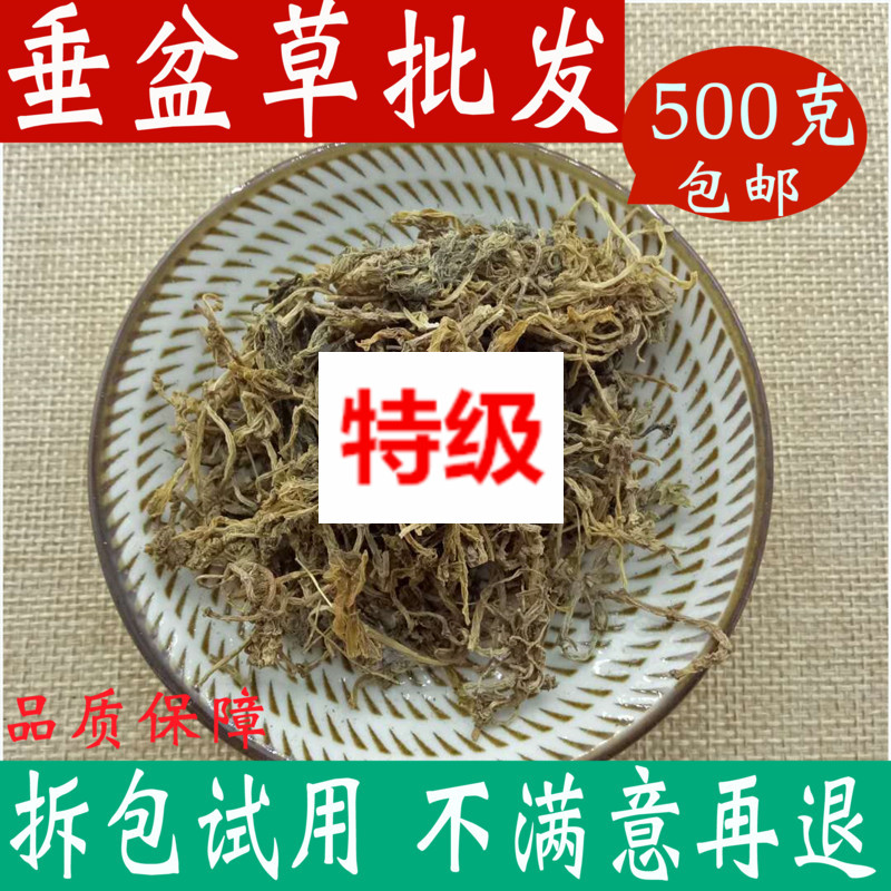 Zhengzong special class Tongrentang selected pituitary grass edible dry Chinese herbal medicine wild 500g wholesale positive
