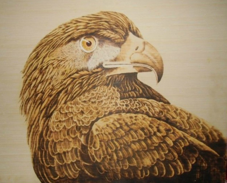 Máy pyrography bầu Đài Loan không nóng, bút điện, bánh tráng, gỗ da, dụng cụ pyrography, bàn chải nóng - Thiết bị & dụng cụ dụng cụ đo nhiệt độ phòng