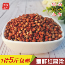 Red sorghum rice with skin Red sorghum rice wine red sorghum fresh sorghum feed parrot pigeon food 5 kg