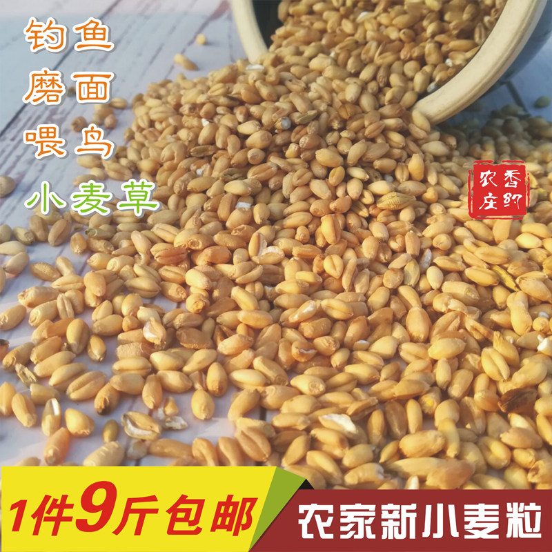 New wheat grain farmhouse wheatgrass seed juice chicken duck goose bird feed wheat 1 serving 9 catties