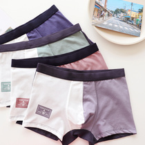 Family members -- long wear without deformation combed full cotton underwear mens four-corner pants pure cotton Coloured trend comfortable and breathable