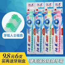 Toothbrush bristles Adult super hard to remove tooth stains Small big head toothbrush whitening to remove smoke stains teeth yellow teeth black men and women