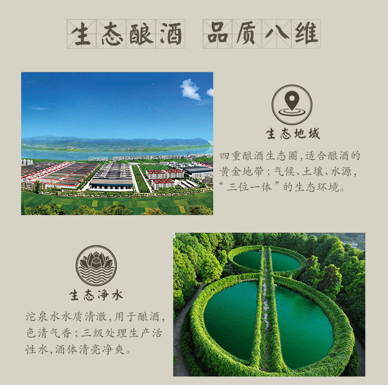 舍得 舍之道 浓香型白酒 50度 500ml*6瓶 图5
