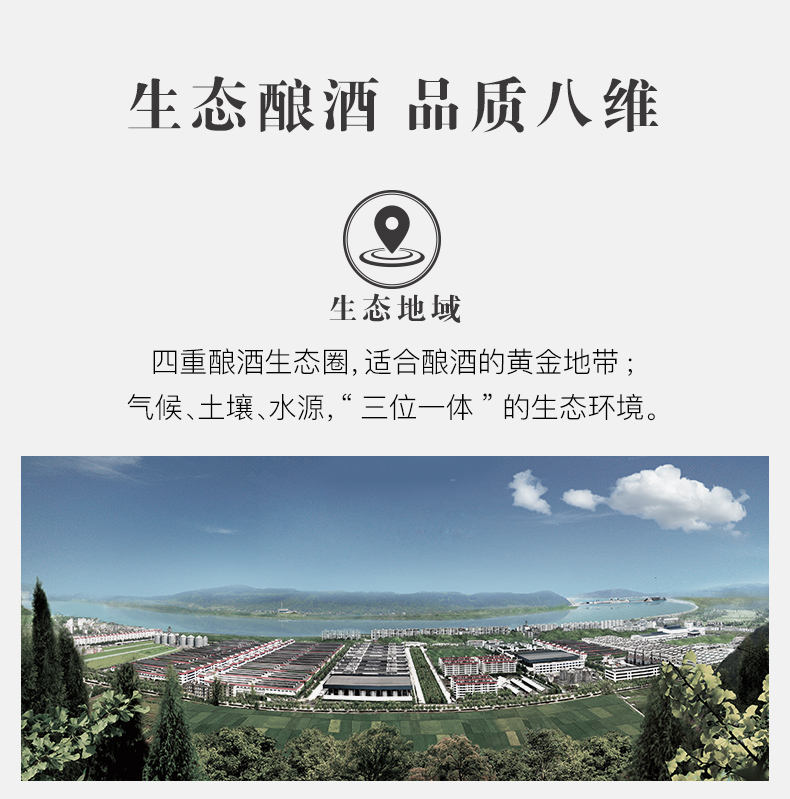 沱牌 头曲淡雅 浓香型 50度白酒 450ml*6瓶 图5