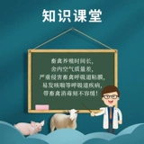 Гладкая дезинфекция дыма Дезинфицирующая дезинфекция агент по дезинфекции куриная домика дезинфекция свиная ферма для стерилизации