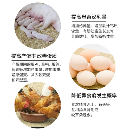 Китайский животноводческий кальциевый фосфор Скорость Тоник Тоник Добавление водорода фосфата, свиньи, крупного рогатого скота, добавок для кормов для овец, цыплят для птицы с добавками кальция, фосфор, фосфор