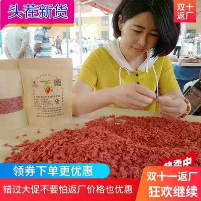 Farm direct supply of wolfberry Ningxia new goods 500g disposable Ningxia Gouqi tea male kidney authentic Zhongning Gouqi