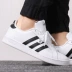 Giày Adidas adidas neo nam 2020 mùa xuân mới giày đế thấp giày thể thao thông thường F36392 - Dép / giày thường