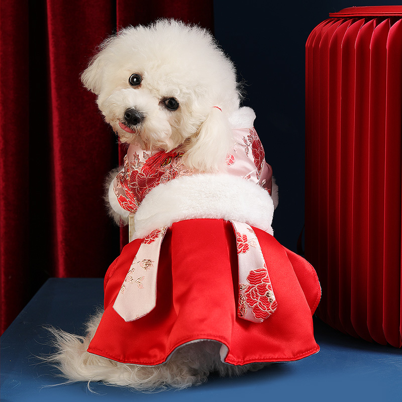 Pet Tang Dress Pooch Guaty Cat Clothes Autumn Winter Warm Teddy Kirky Small Dog Thicken Cute Two Feet