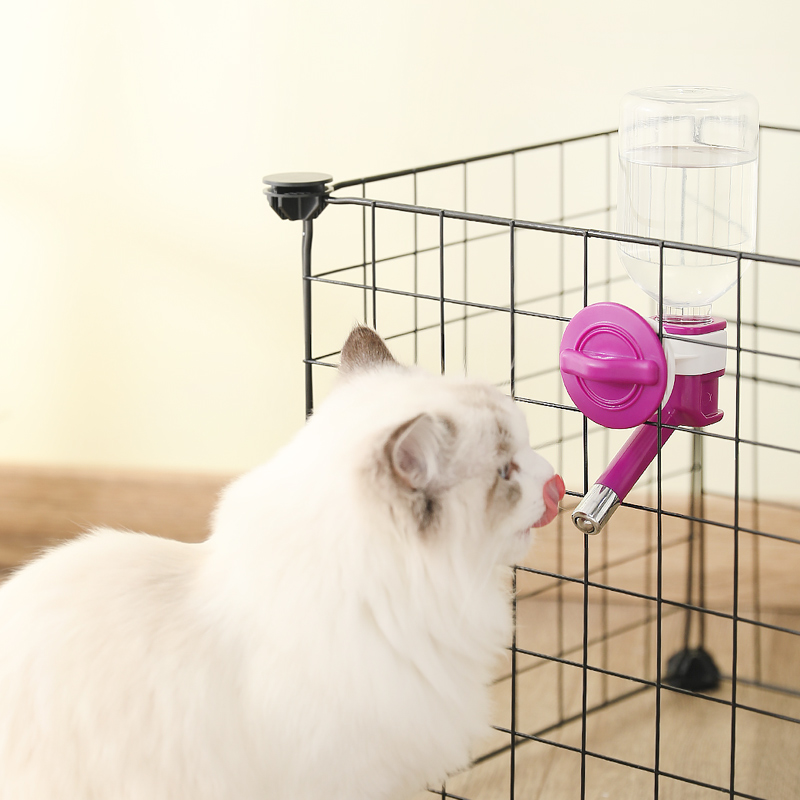 Dog Drink Drinking Water Drink Hanging Teddy Pet Supplies Kitty Automatic Water Dispenser Dog Out Kettle