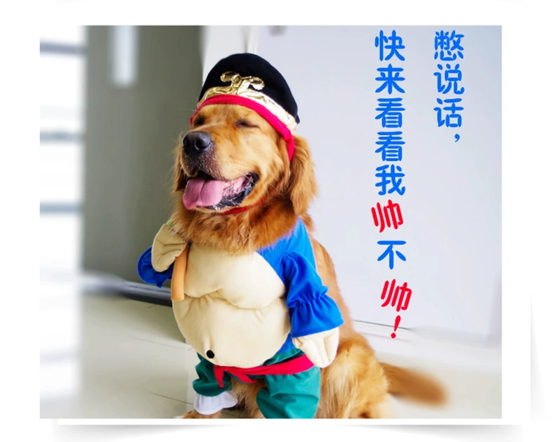 Chú chó biến thành thú cưng ngộ nghĩnh chú chó nhỏ Teddy Bomei cỡ trung bình hơn gấu Golden Retriever chú chó lớn quần áo ngộ nghĩnh - Quần áo & phụ kiện thú cưng