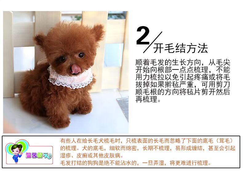 Pet chải móng tay 耙 lược chó cung cấp gấu bông làm sạch lông vàng cung cấp mèo hàng chải lông chải lược mở vẻ đẹp lược - Cat / Dog Beauty & Cleaning Supplies lược chải lông mèo