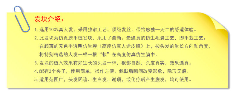 Extension cheveux - Ref 226500 Image 14