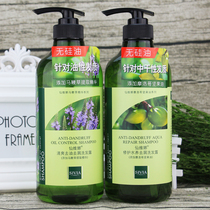 Senvina without silicone oil shampoo 750g water recuperation for the dandruff control oil to wash the hair and the horses whip the grass clear and refreshing