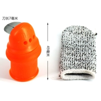 1 набор женщин правых женщин -