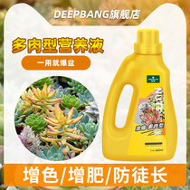 Special Fatty Nutrition Solution Fatty Meat Plant Concentrate Home Generic Bonsai Flower Fertilizer Fatty Growth Roots