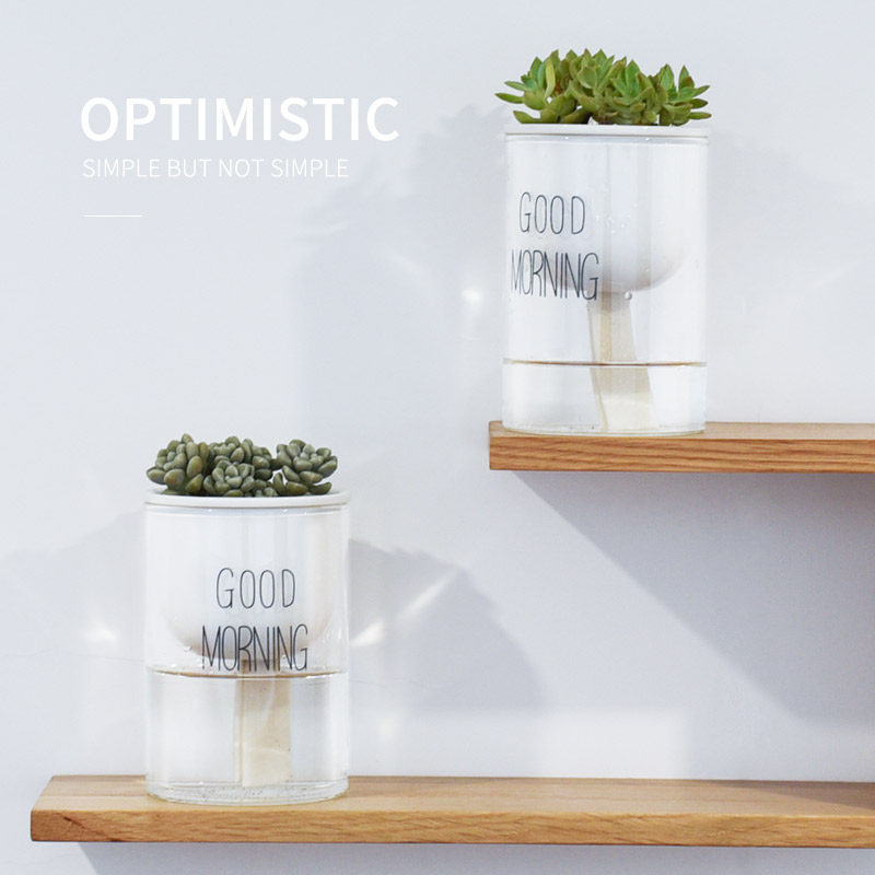 Hydroponic plant glass bottle transparent glass vase container gold Ge flower pot round spherical fish tank hydropony trumpet utensil