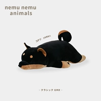 Древняя Шиба Ину-черная