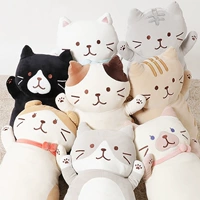 Семейный портрет из 8 кошек