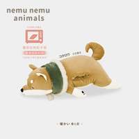 [Фонд теплого сердца] Сяо Тай Шиба Ину