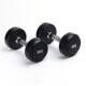 Household Men's Fitness Round Head Fixed Dumbbells Rubberized Dumbbells Flying Birds Commercial Gym Dumbbells Fitness Equipment
