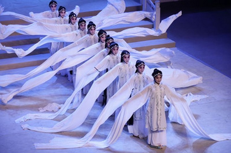 Classical performing suit Yang song suit ) Dance suit for the classical watersleeve costume woman